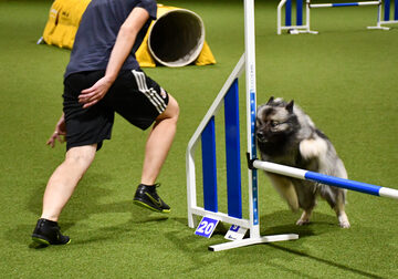 Agility - Coachgrupper